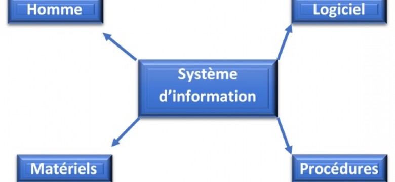 Illustration Gestion des systèmes d'information