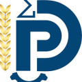 Logo Université de douala École nationale supérieure polytechnique de douala (enspd)